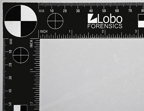 Lobo Forensics Logo